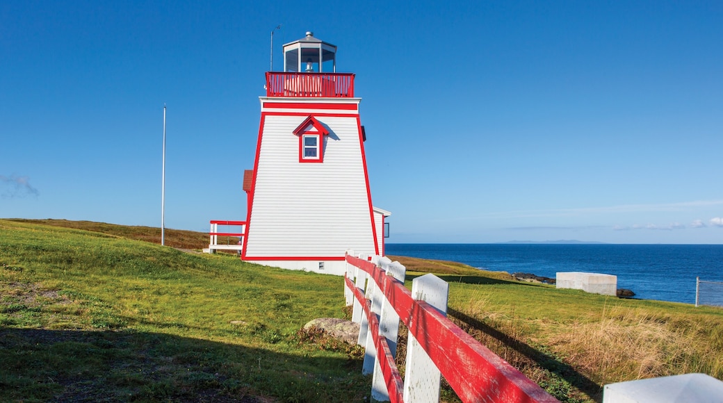 Foto disediakan oleh Newfoundland and Labrador Tourism