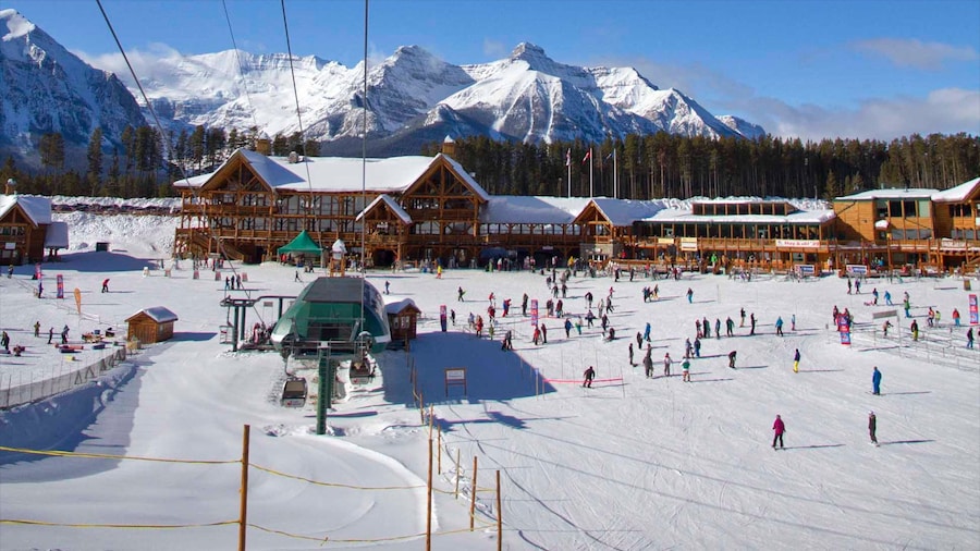 Lake Louise Mountain Resort showing snow skiing and snow