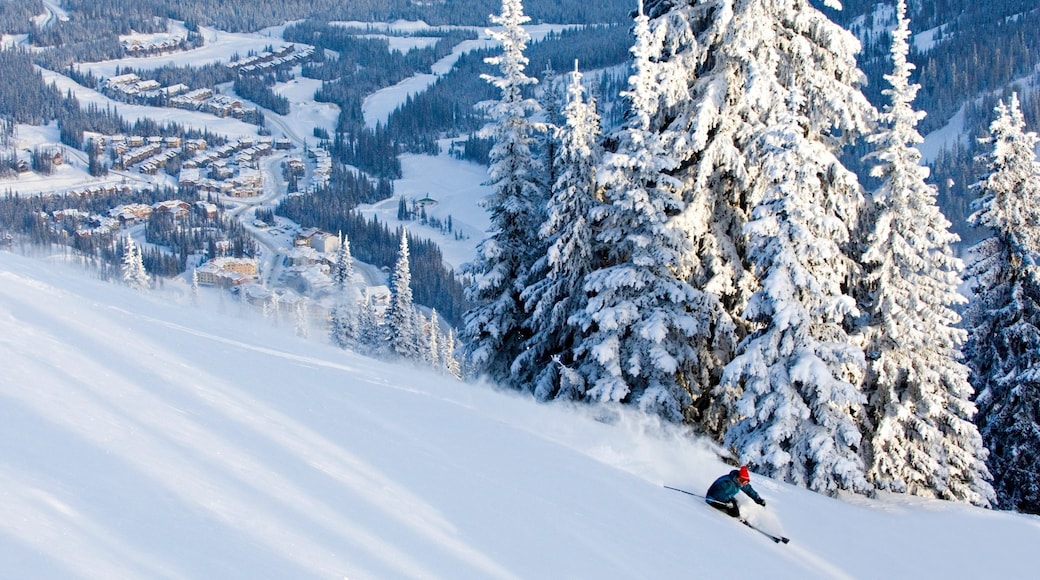 写真提供元 : Adam Stein/Sun Peaks