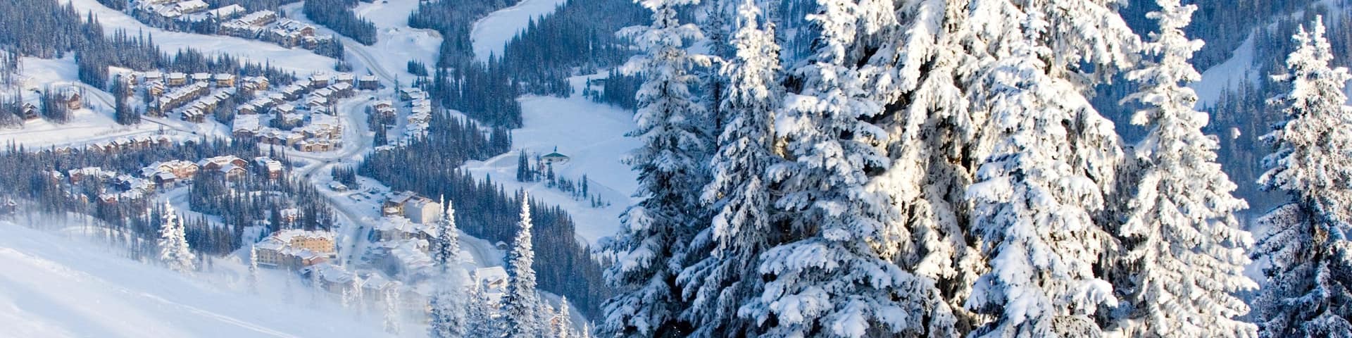 Sun Peaks featuring snow, a small town or village and snow skiing