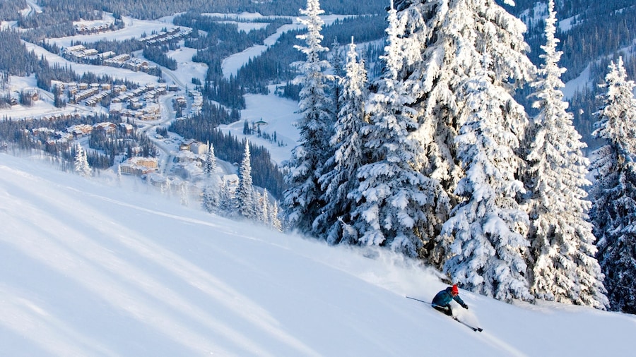 Sun Peaks which includes snow skiing, a small town or village and snow