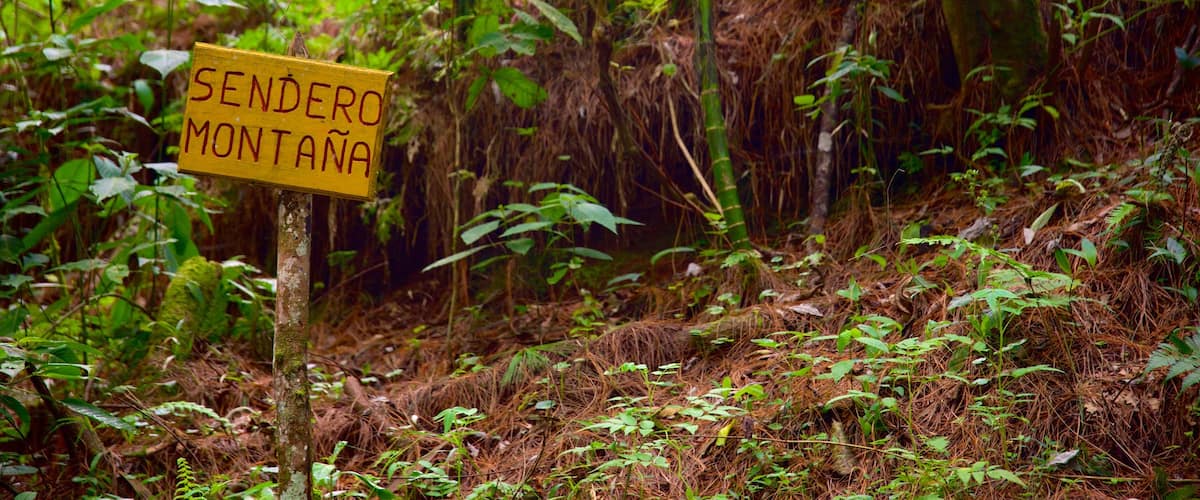 Las Victorias National Park showing signage and rainforest