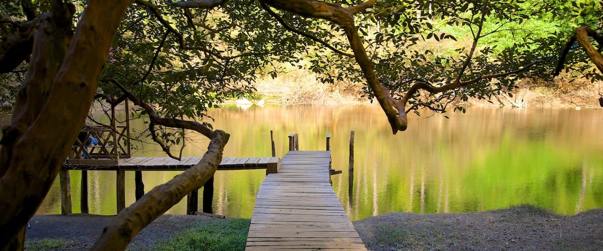 Parque nacional Las Victorias caracterizando um rio ou córrego