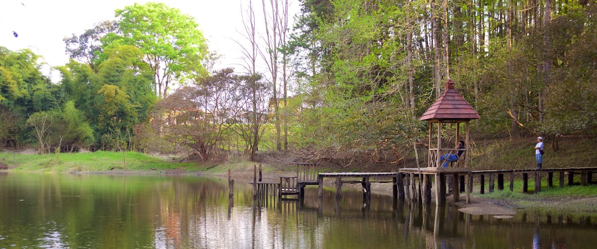 Parque Nacional Las Victorias mostrando un río o arroyo y escenas forestales