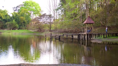 Nationalpark Las Victorias mit einem Wälder und Fluss oder Bach