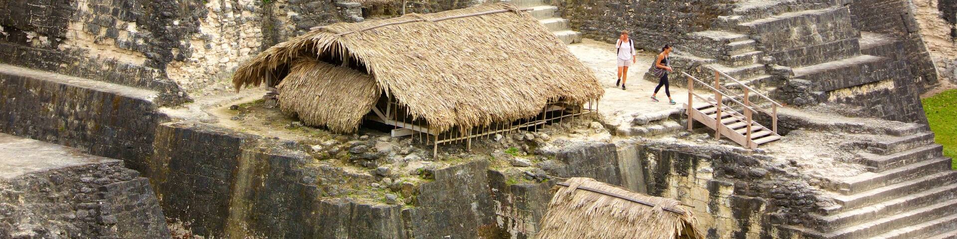 Tikal showing a monument and heritage elements