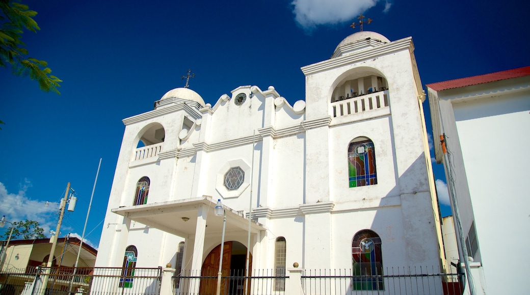 Catedral de Flores mostrando una iglesia o catedral