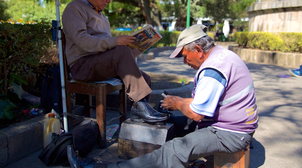 Parque central de Quetzaltenango mostrando un parque o plaza y también un pequeño grupo de personas