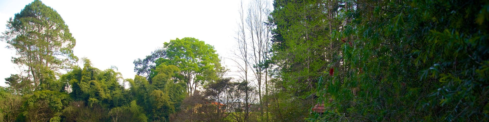 Las Victorias National Park featuring a lake or waterhole and forests