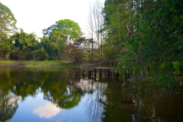 Las Victorias National Park featuring a lake or waterhole and forest scenes