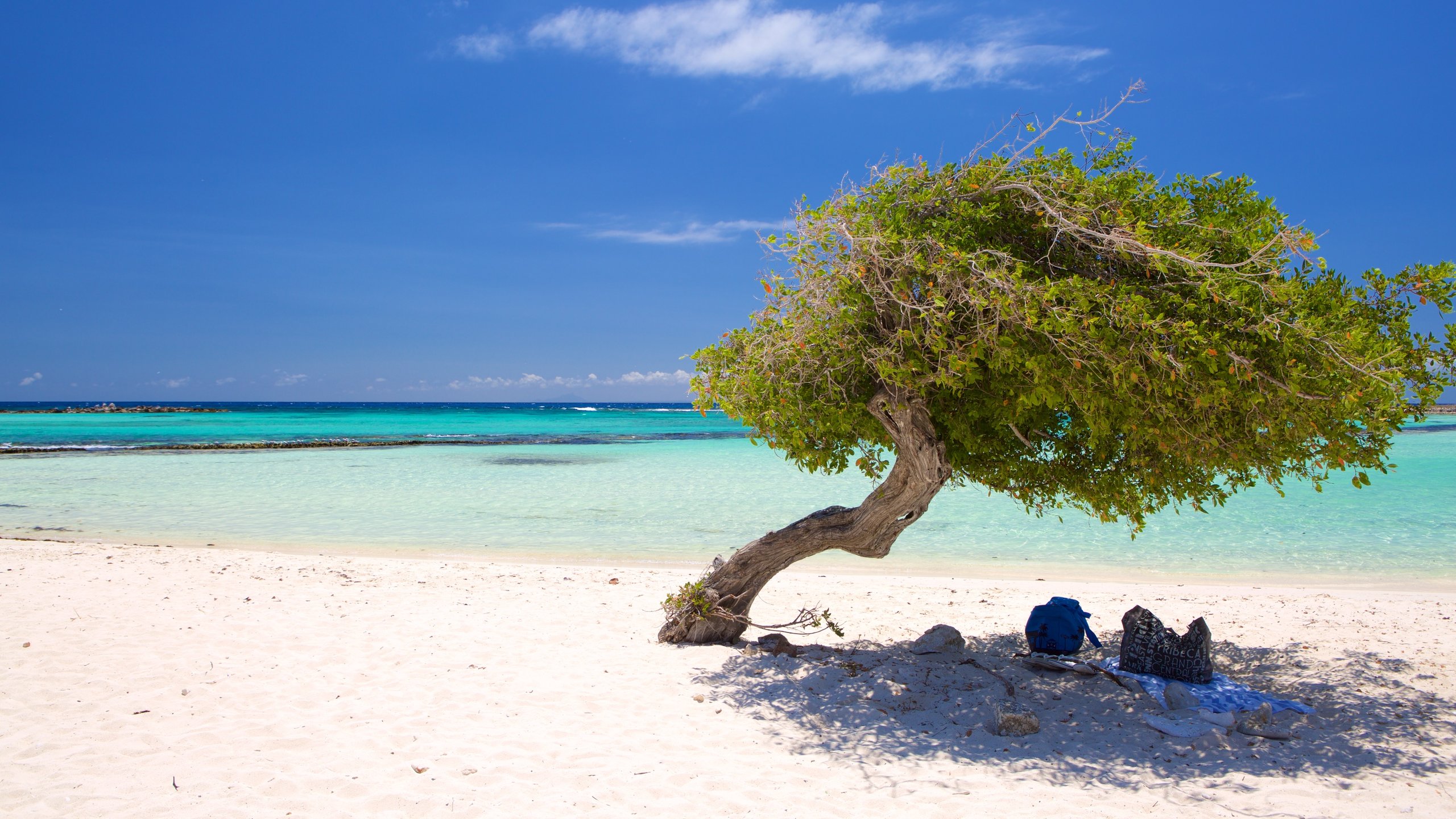 aruba renaissance island