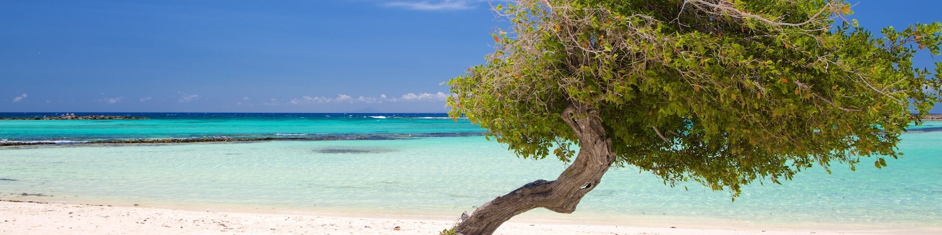 Aruba