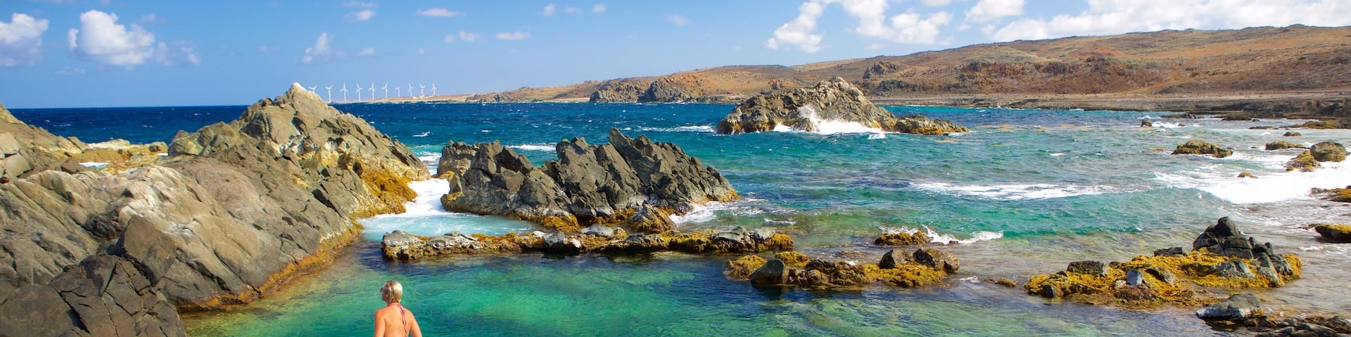 Conchi Natural Pool