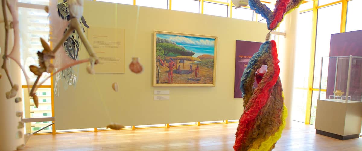 Museo Arqueológico Nacional de Aruba ofreciendo arte