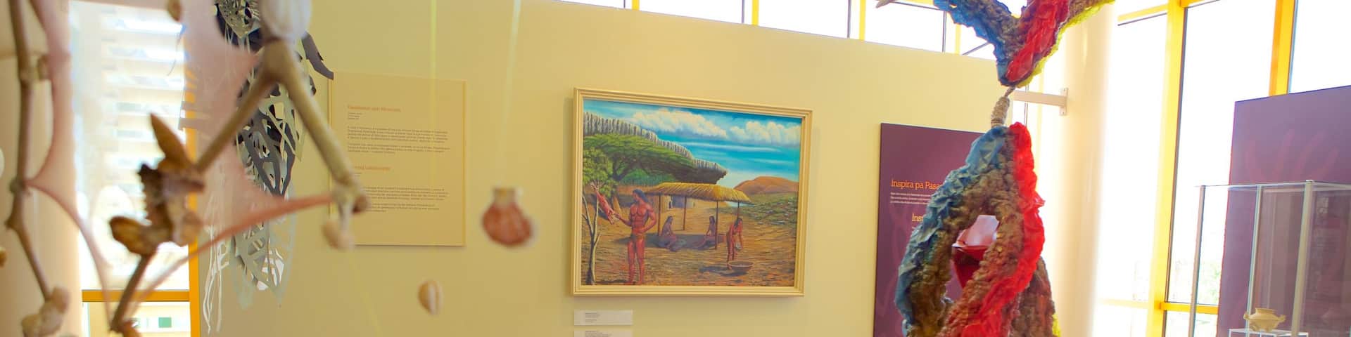 National Archaeological Museum Aruba featuring art