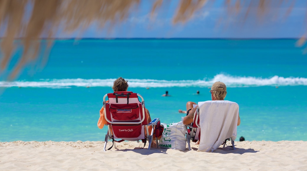 Eagle Beach showing a sandy beach as well as a small group of people