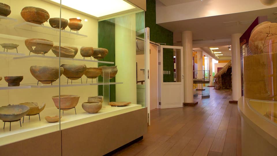 Museo Arqueológico Nacional de Aruba mostrando vistas interiores