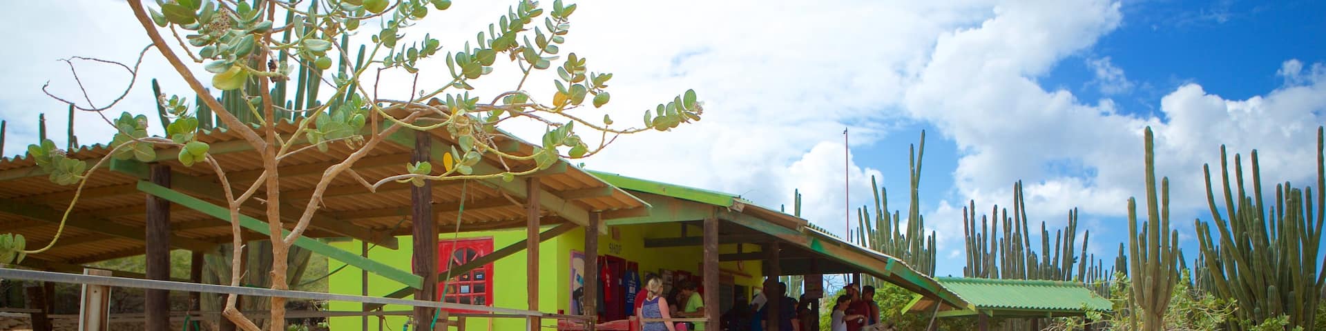 Donkey Sanctuary featuring zoo animals and animals