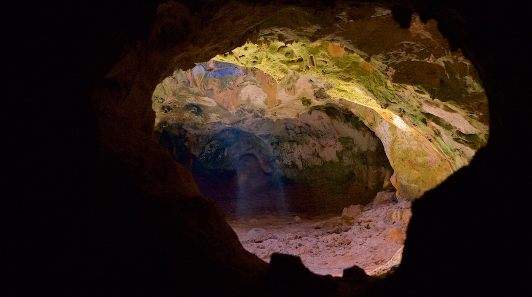 Parque Nacional de Arikok mostrando cuevas