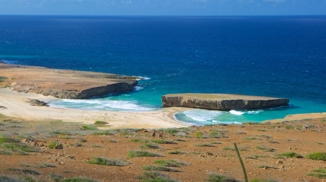 Parque Nacional de Arikok ofreciendo costa rocosa