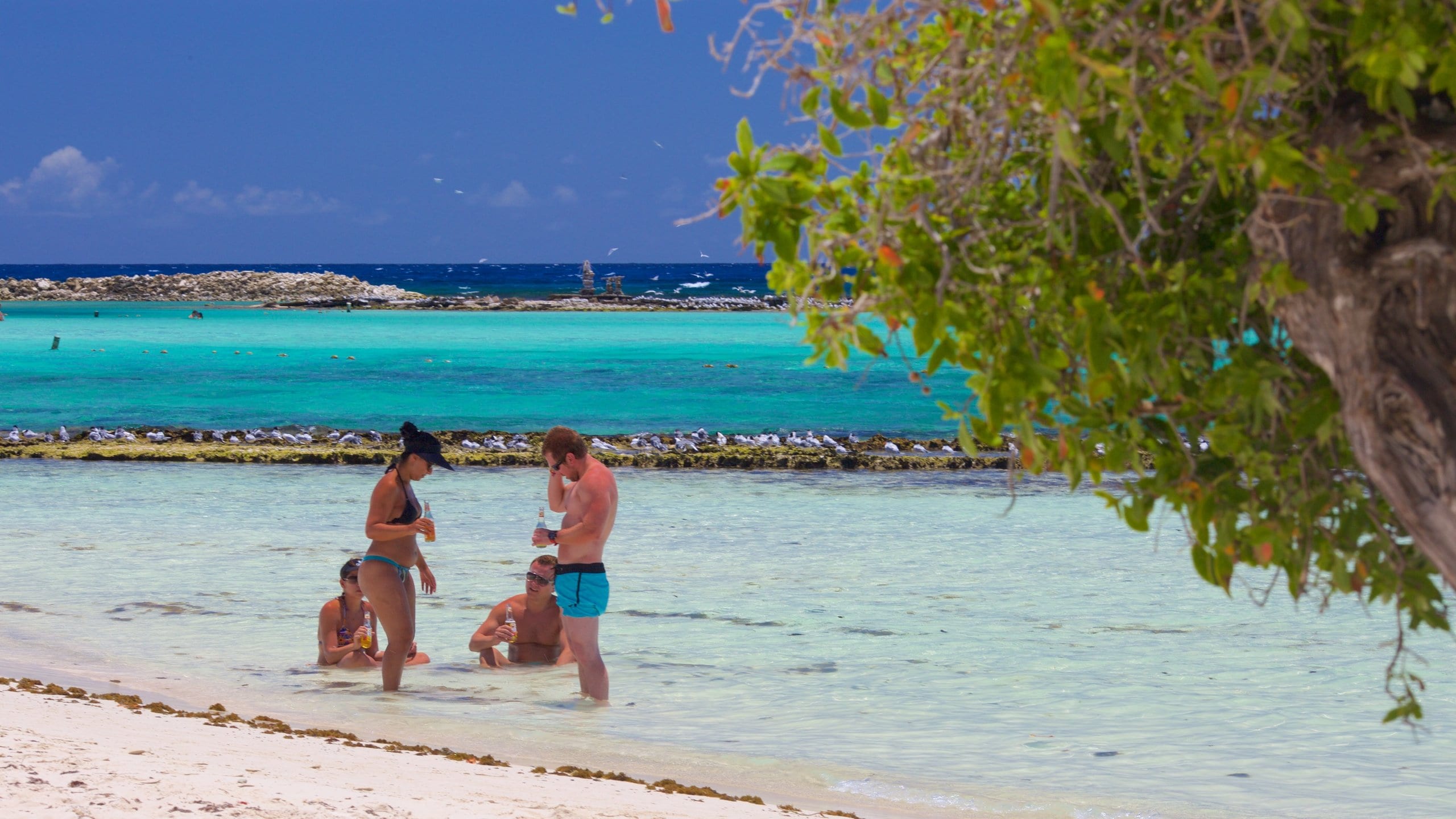 Baby Beach showing a sandy beach as well as a small group of people