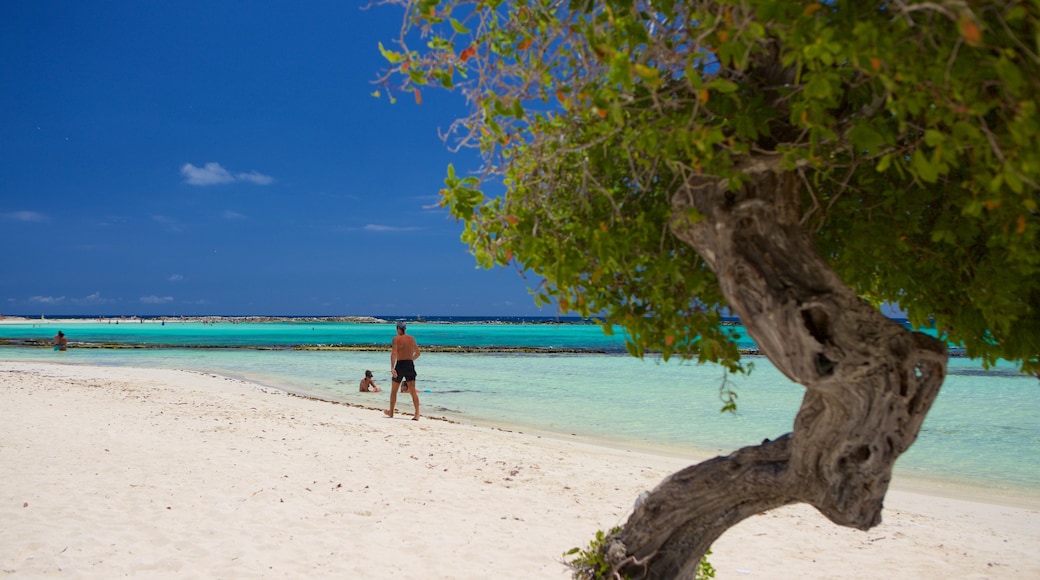 Baby Beach showing a sandy beach