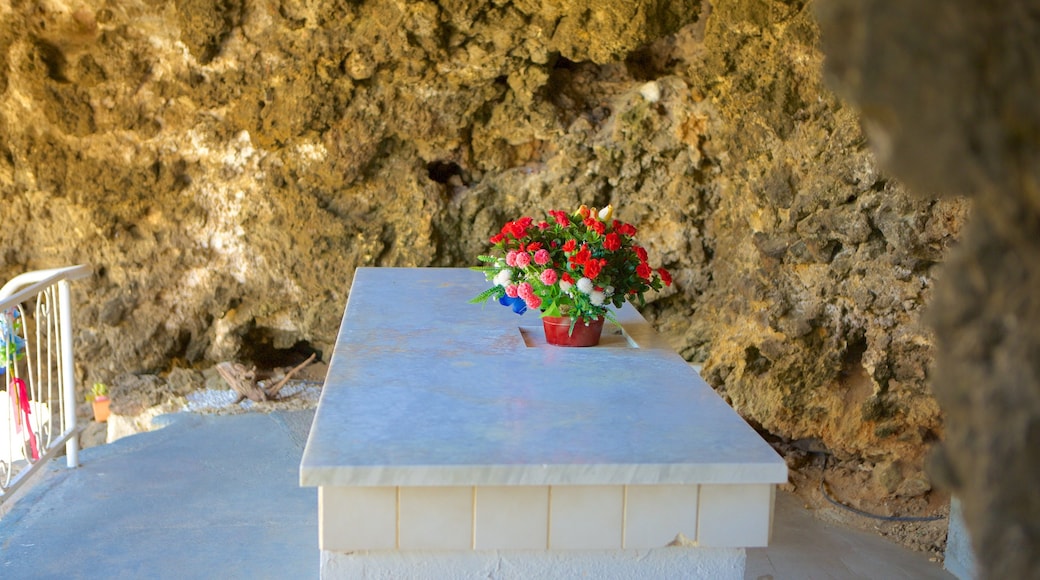 Gruta de Lourdes que inclui elementos religiosos e cavernas