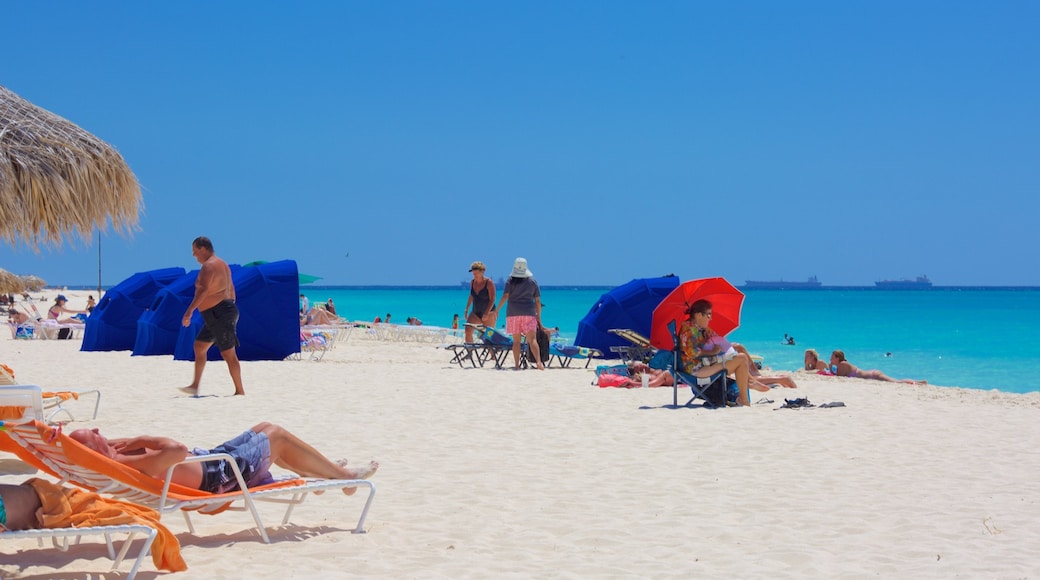 Eagle Beach showing a sandy beach