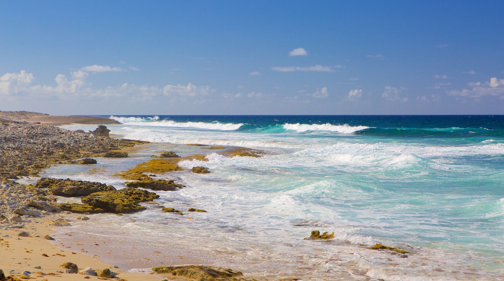 Druif Beach which includes rocky coastline