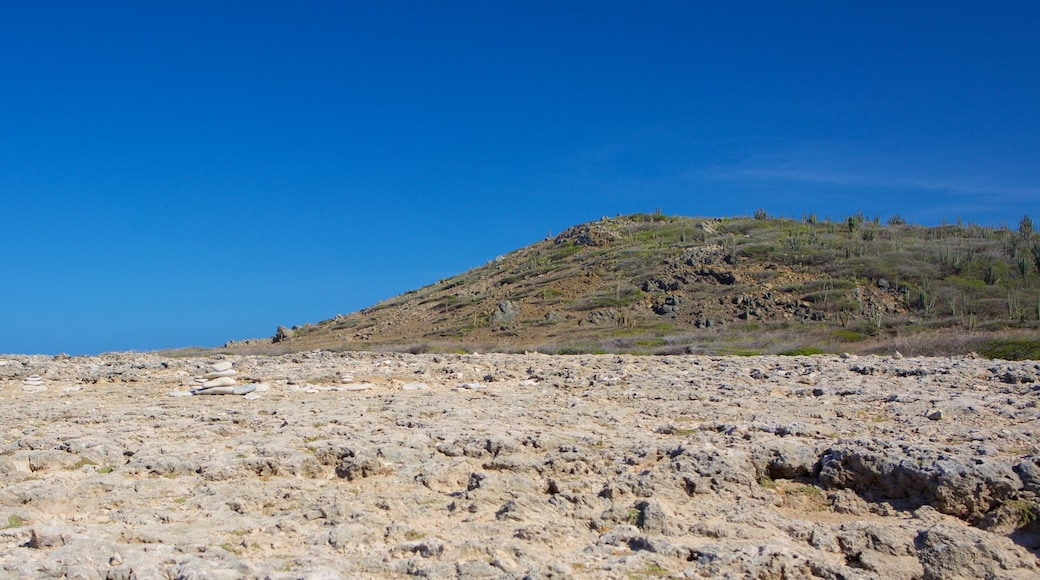 Druif Beach which includes tranquil scenes