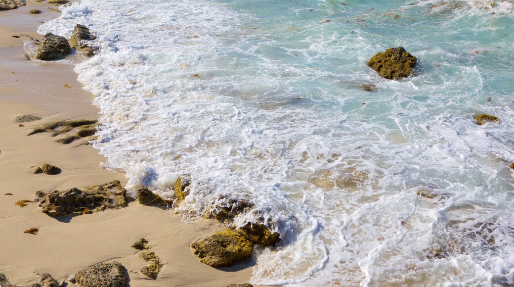 Plage de Druif mettant en vedette vues littorales