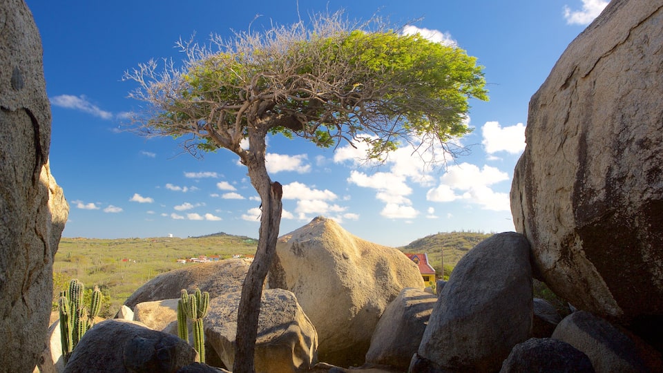 Ayo Rock Formations showing a gorge or canyon