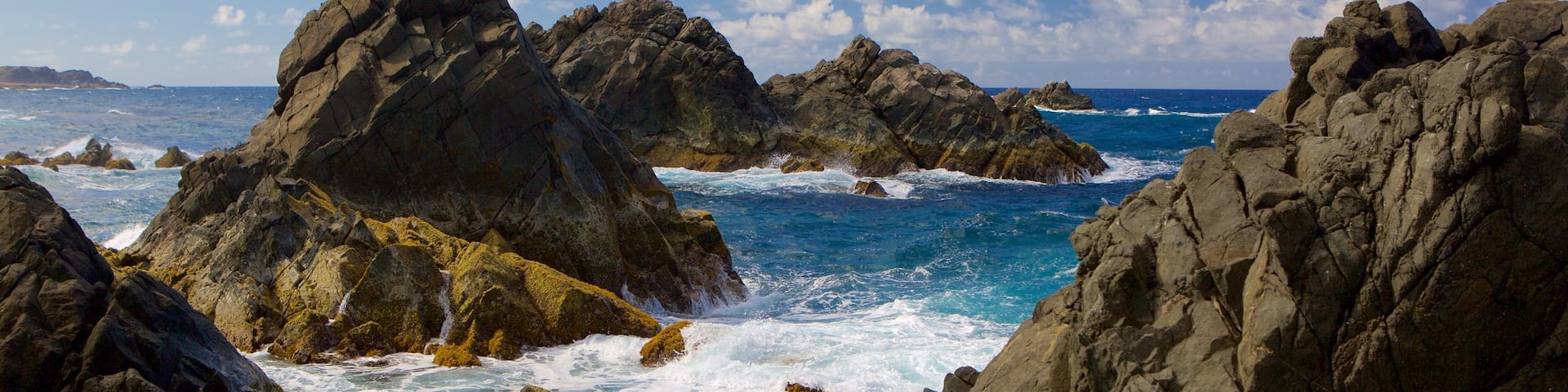 Conchi Natural Pool mettant en vedette vues littorales