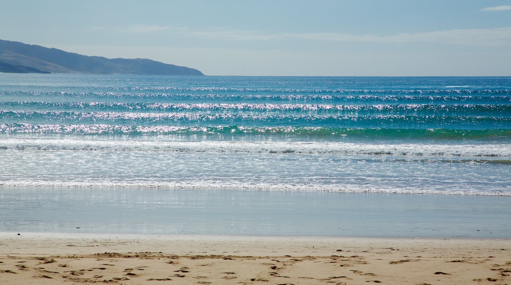 Apollo Bay que incluye una playa