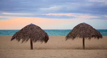 Playa Dorada showing a beach, a sunset and tropical scenes