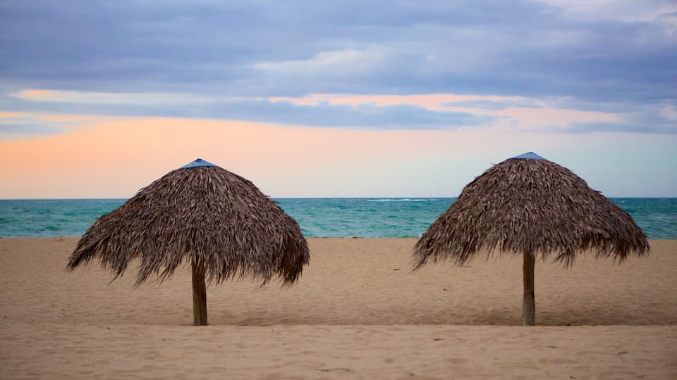 Playa Dorada showing a beach, a sunset and tropical scenes