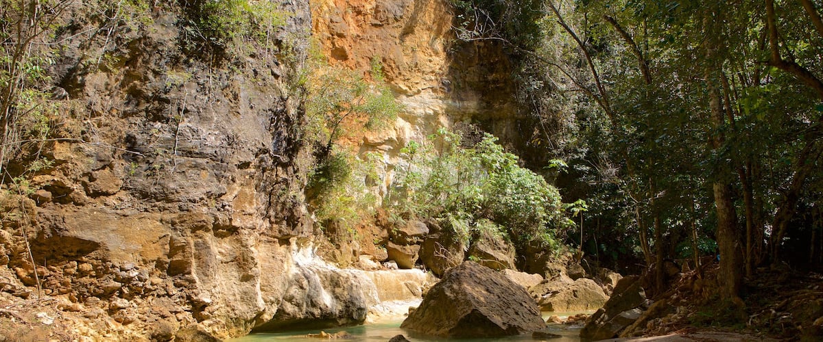 El Salto del Limon toont een kloof of ravijn en een rivier of beek