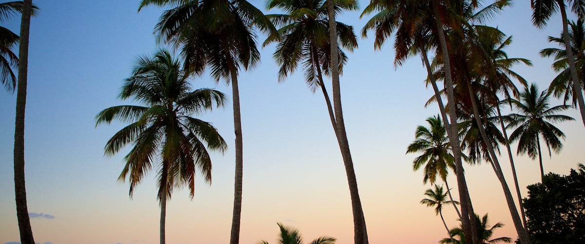 Samaná ofreciendo escenas tropicales, una puesta de sol y una playa