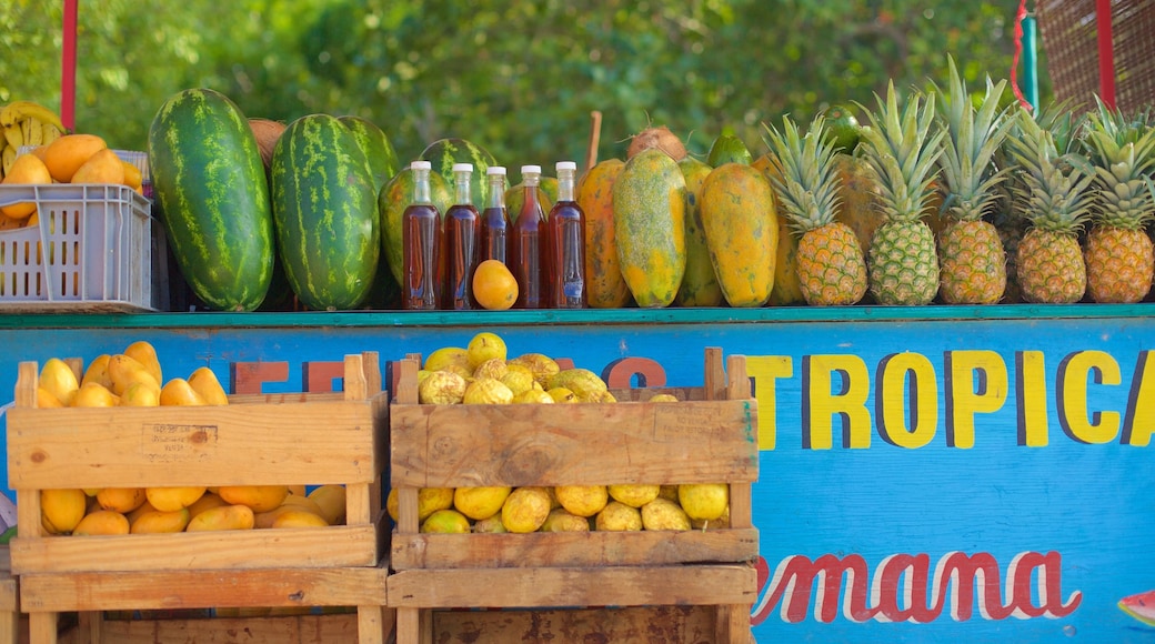 Bãi biển Bayahibe trong đó bao gồm thức ăn