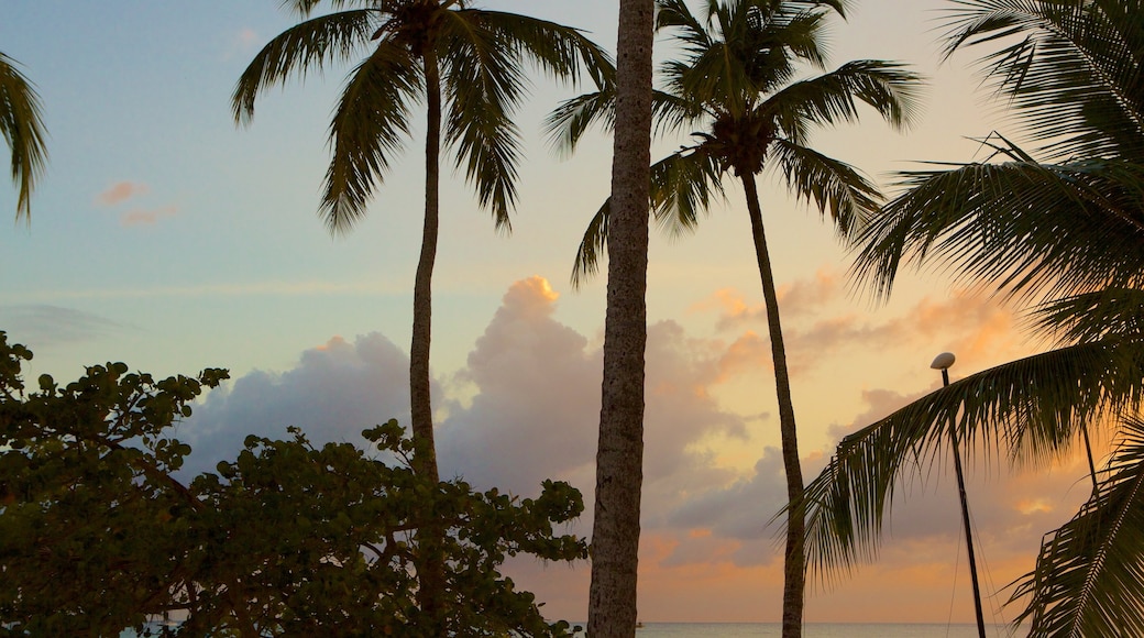 Playa de Bayahíbe que incluye una puesta de sol y escenas tropicales