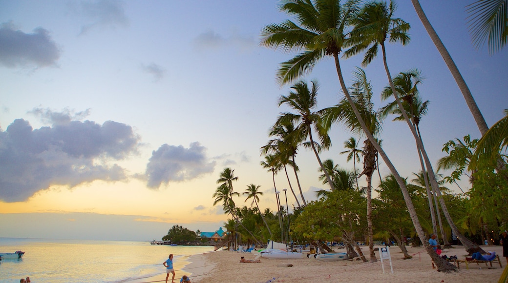 Playa de Bayahíbe mostrando un atardecer, una playa y escenas tropicales