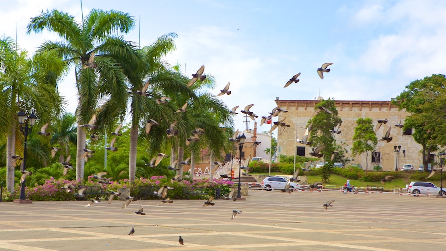 Alcazar de Colomb montrant square ou place