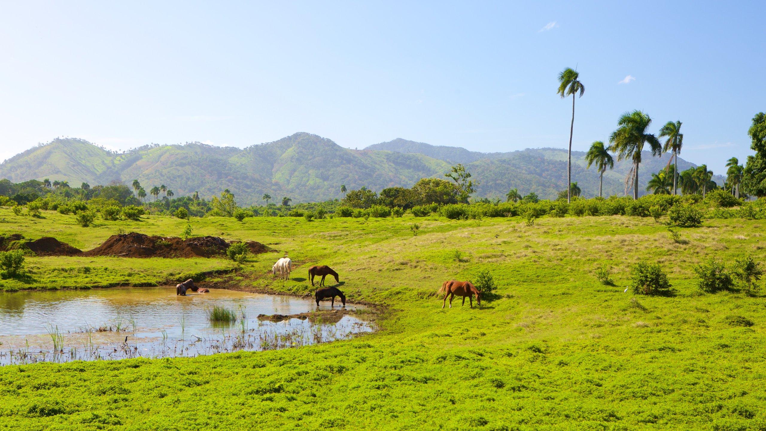 What To See And Do In Higüey, Dominican Republic, 46% OFF