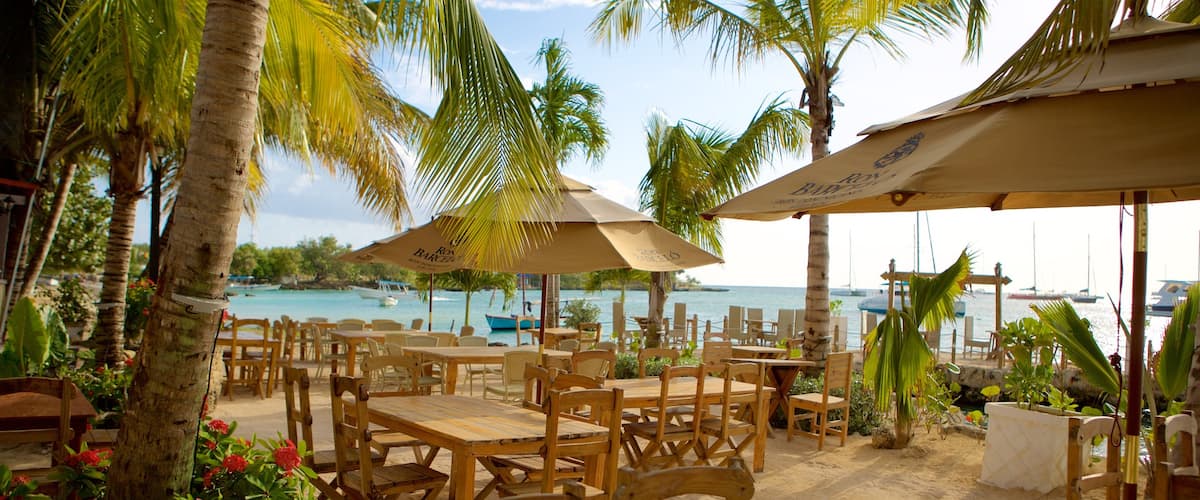Bayahibe Beach showing outdoor eating and general coastal views