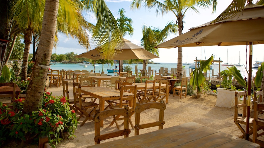 Bayahibe Beach showing outdoor eating and general coastal views