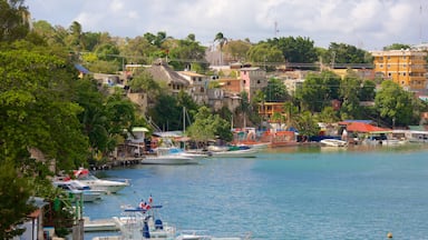 La Romana which includes a bay or harbour and a coastal town