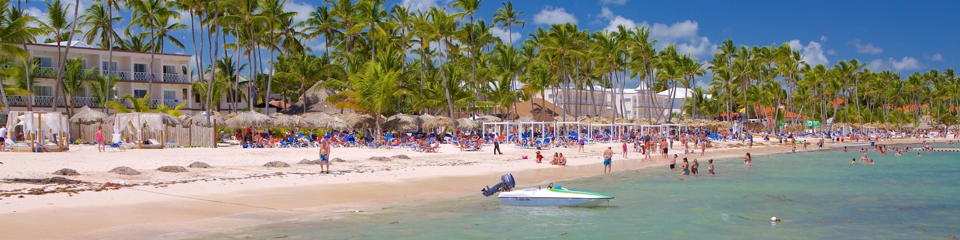 Cabeza de Toro which includes tropical scenes and a sandy beach