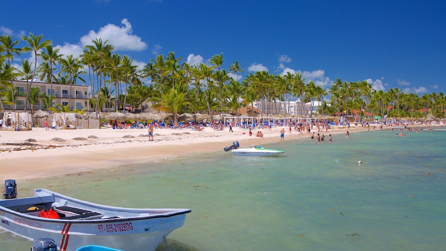 Cabeza de Toro ofreciendo una playa de arena y escenas tropicales