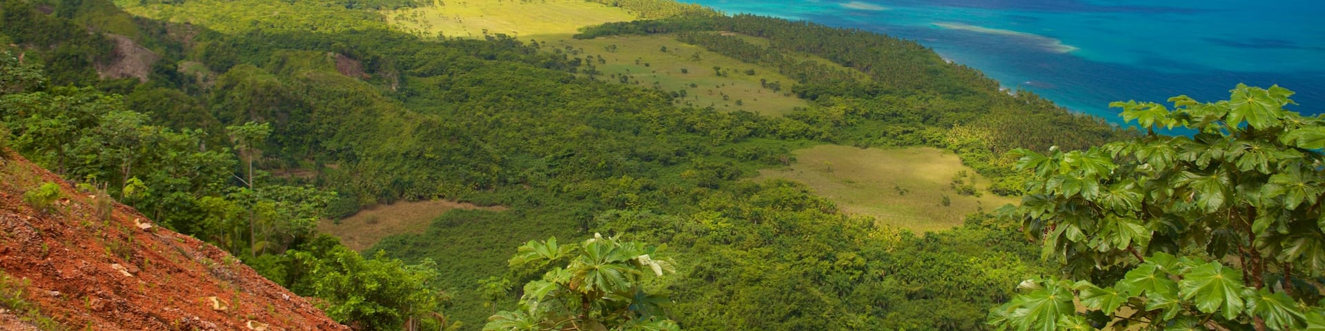 Las Terrenas ofreciendo vistas de paisajes y vistas generales de la costa