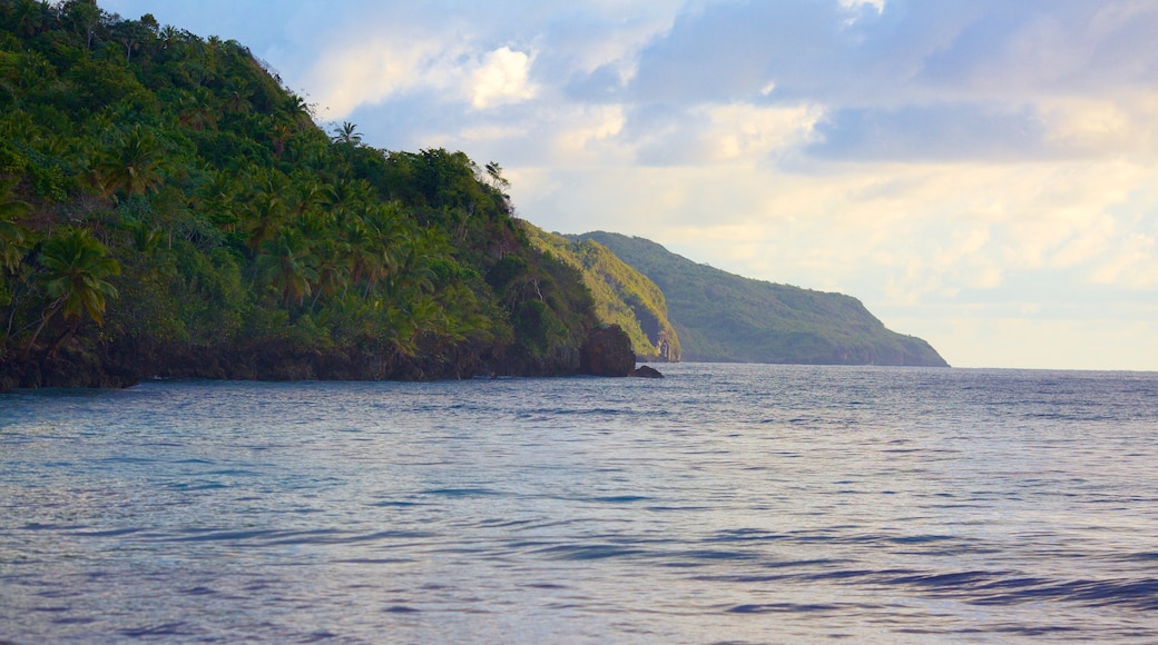 Rincon Beach showing general coastal views